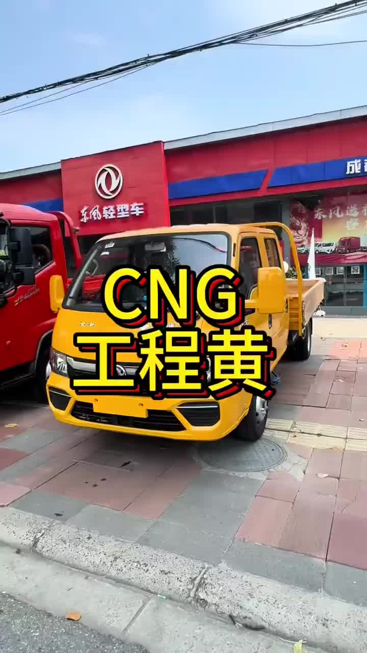 东风途逸T5CNG