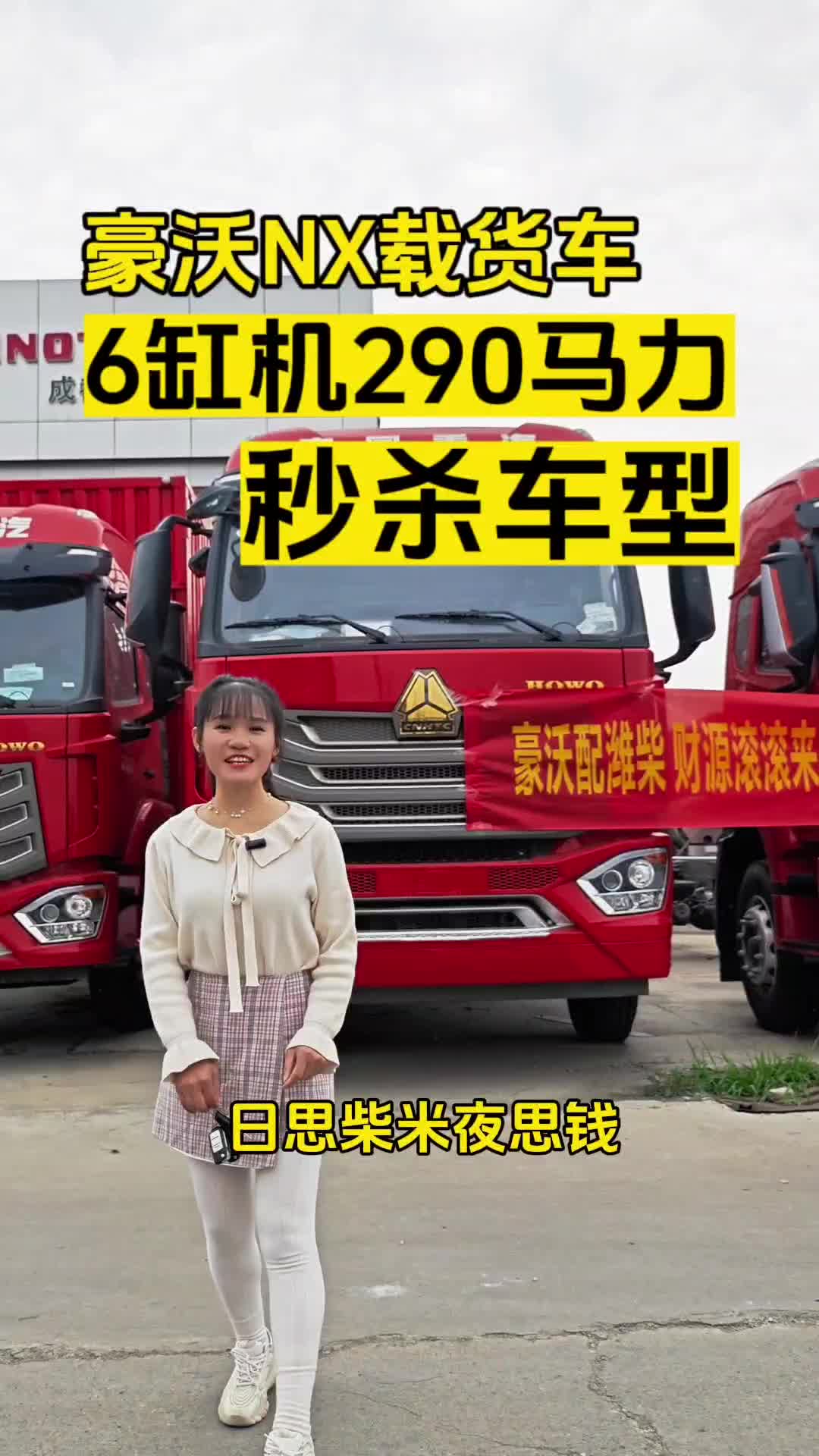 想赚钱，快看看豪沃NX载货车，德国曼6缸机、290马力