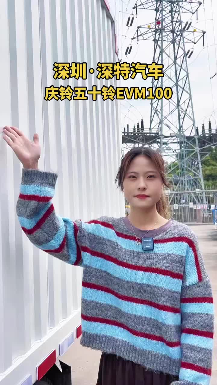 纯电动厢式货车