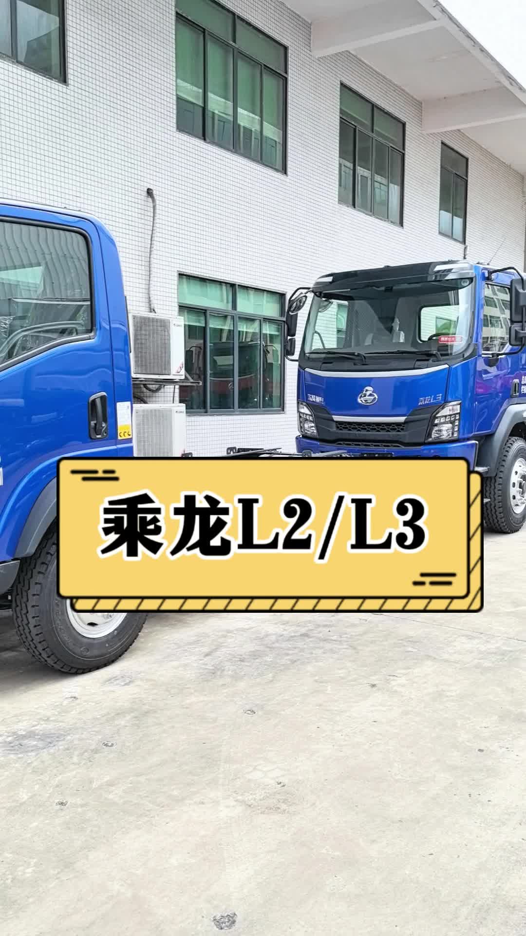 老板，您是喜欢乘龙L2？还是L3呢？