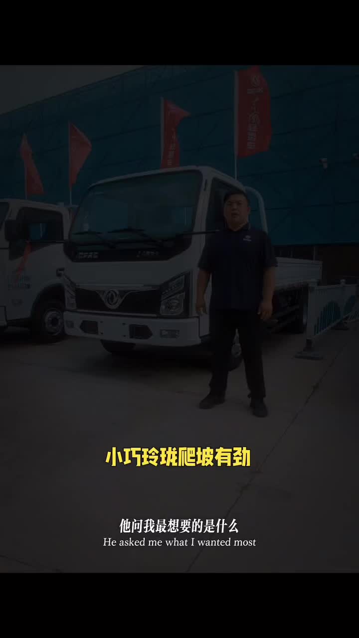 东风福小瑞地库版