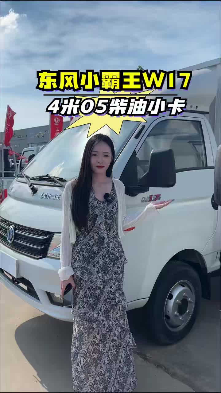 东风小霸王W17