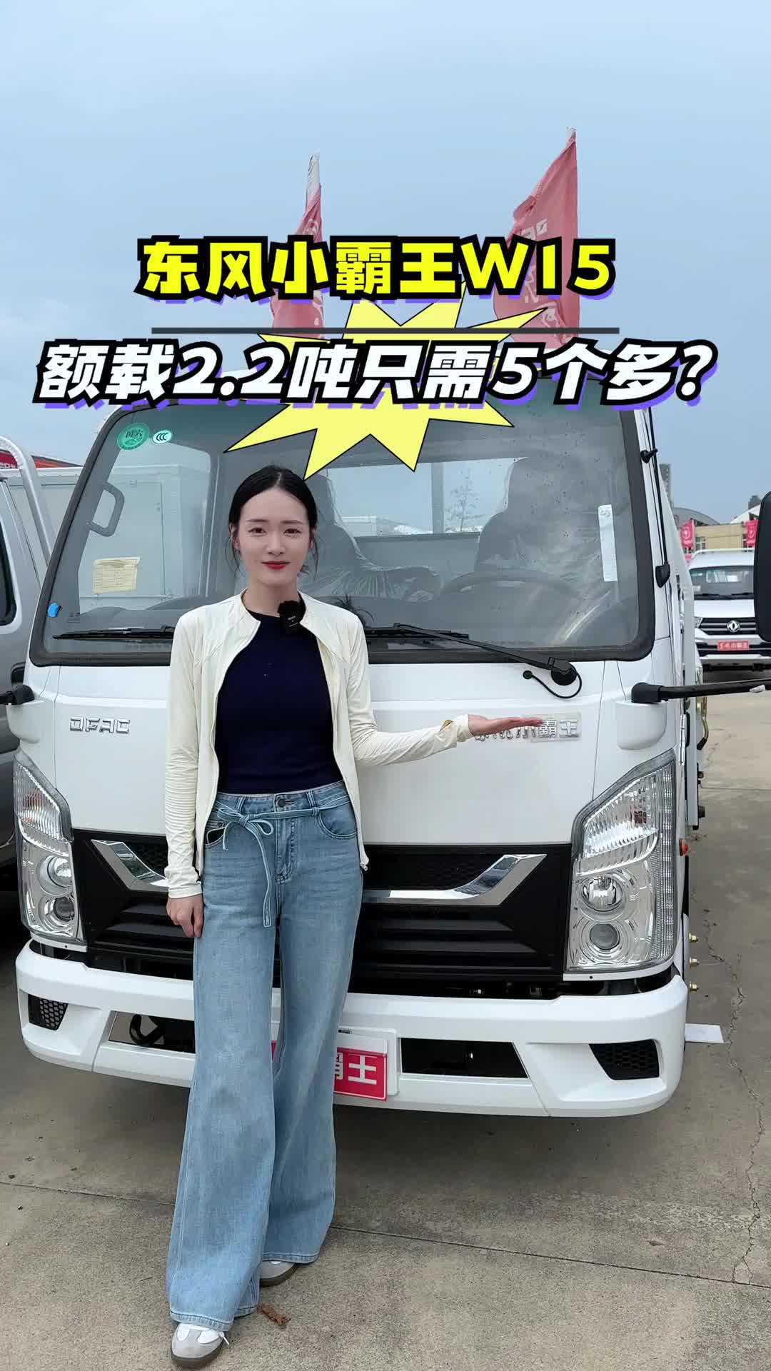 东风小霸王W15实车测评