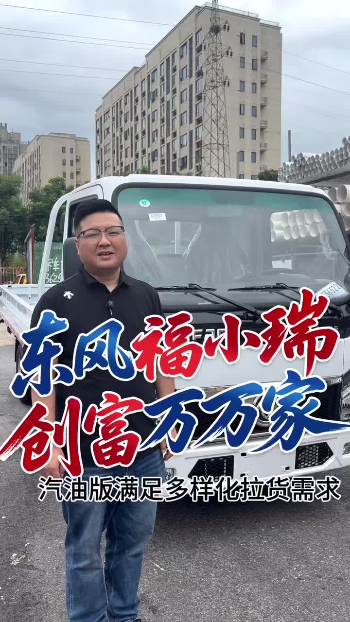 东风福小瑞汽油版，你的货运得力助手！