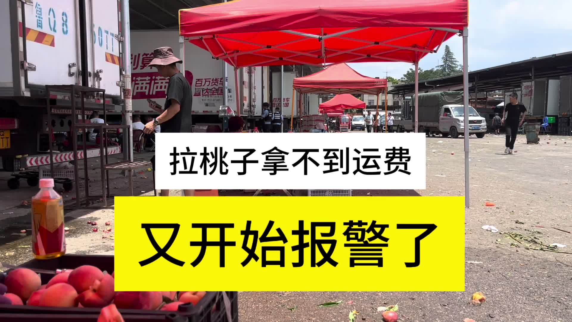 又是昆明金马，又是卡友因为拉桃子拿不到运费