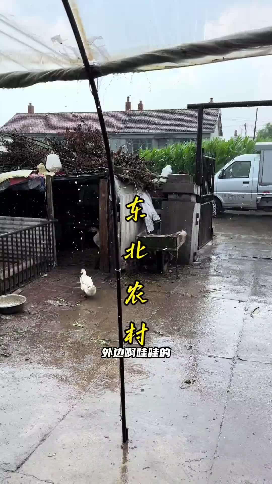 乡村生活家新农人2025下乡收货 记录真实生活