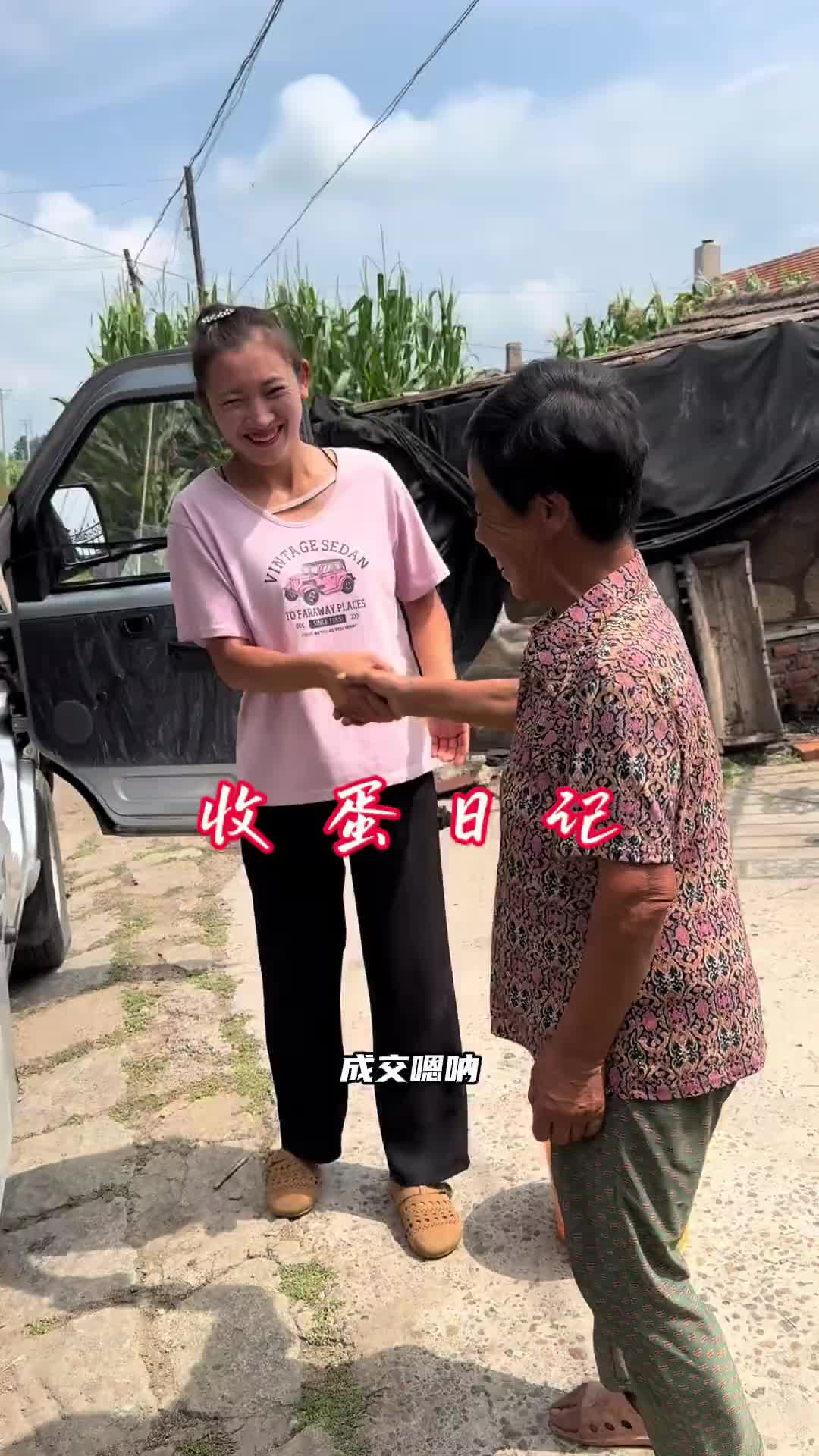 收蛋日记东北农村优质农产品土鸡蛋