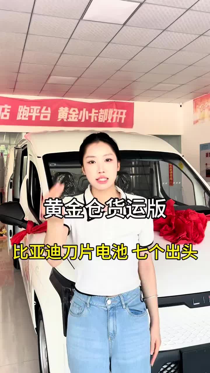 #黄金仓#货运版#宁德时代电池#续航300公里 石家庄跑货运的老板们来看看这辆比亚迪刀片