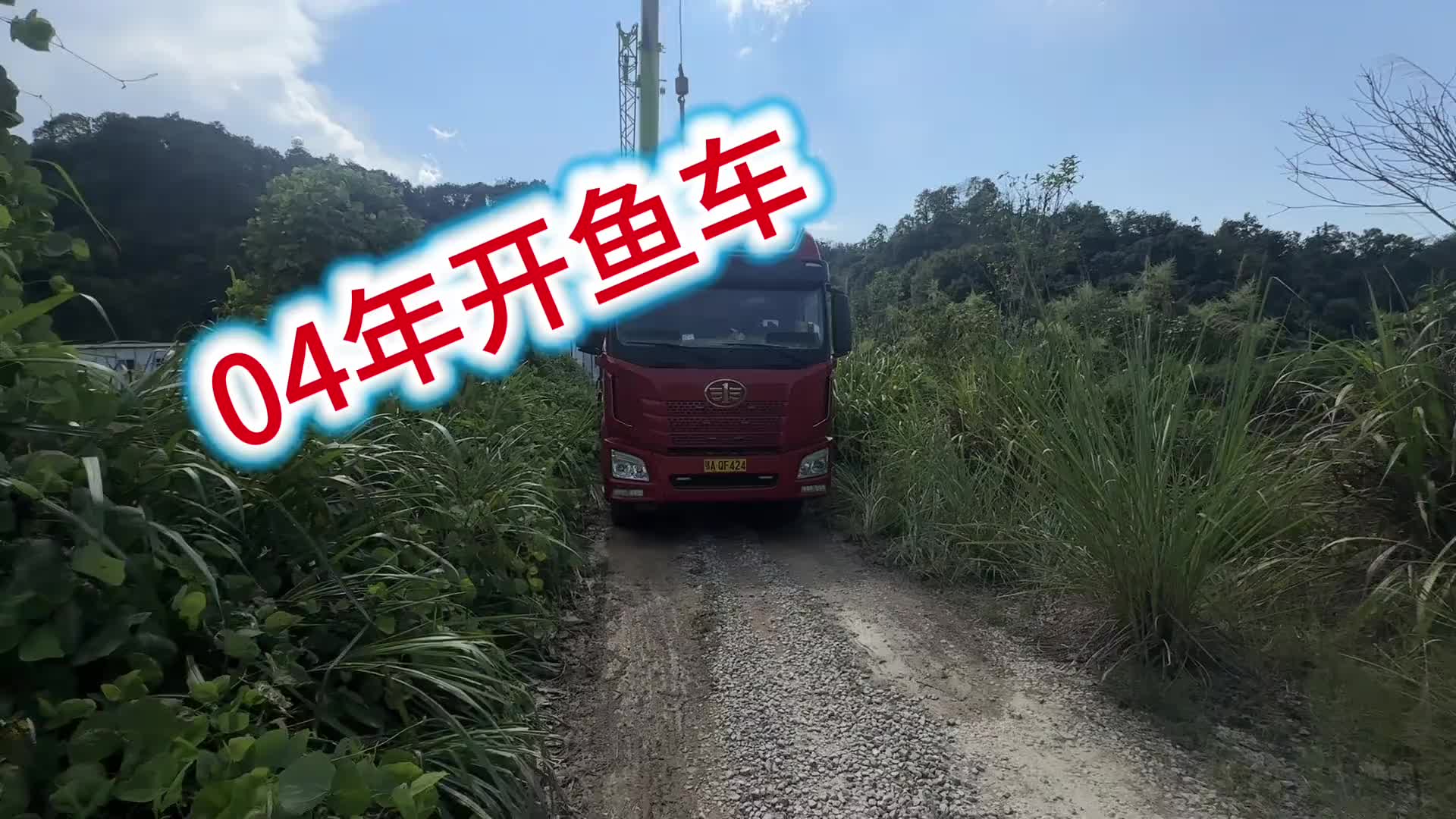 还以为要放空呢，也是运气不错等到了一车江西小草鱼啊vlog日常 第一视角 原创视频 记录生活 日常生活