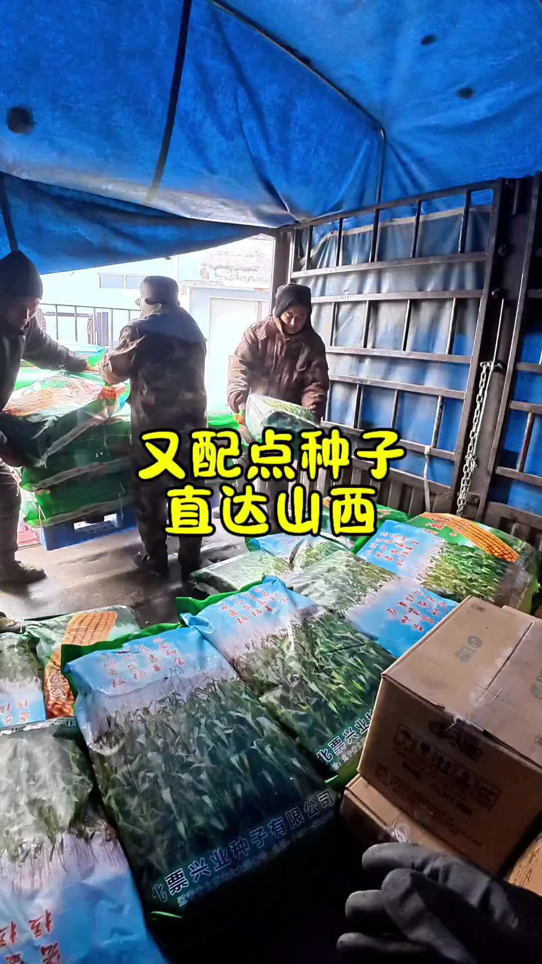 恭喜你，你猜对了。卡车司机 记录卡车生活 日常vlog