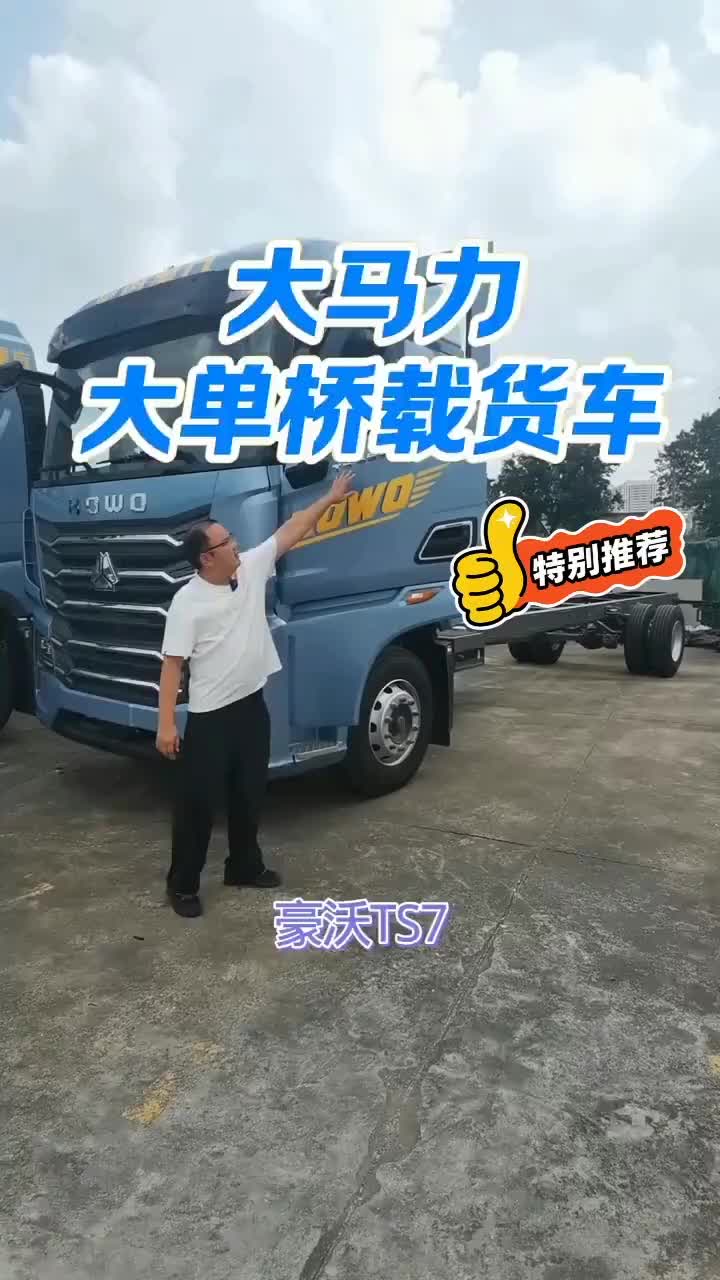 #豪沃#豪沃重卡#豪沃ts#载货车9.6米