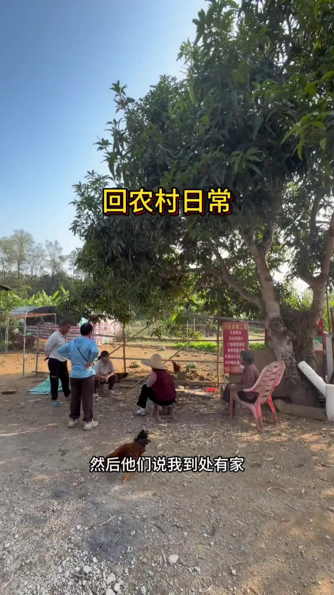 一个货车女司机不跑车，在家都干了什么乡村生活 我的农村生活 农产品 倒闭陈运满满