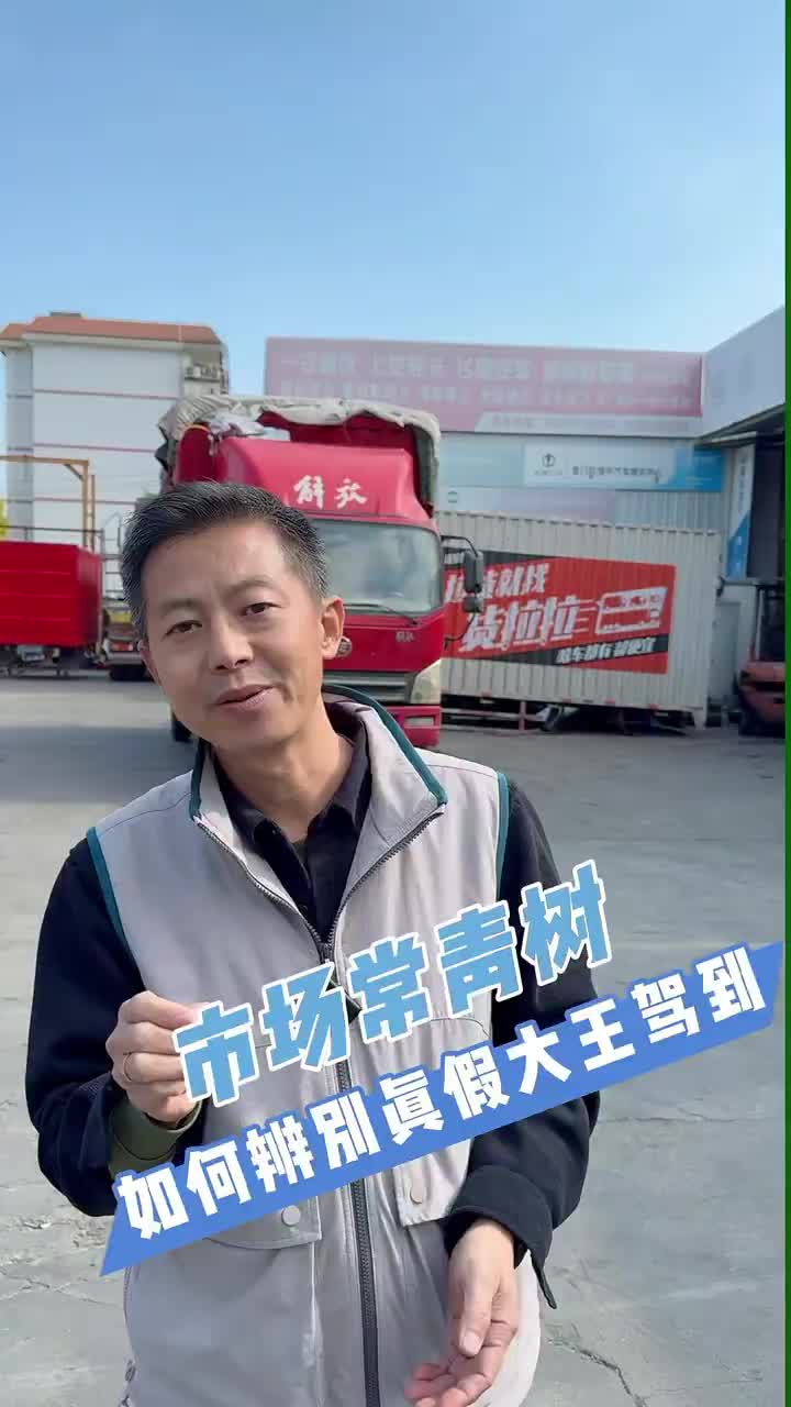 供不应求的市场常青树，如何辨别真假大王驾到全国卡友 货运行业 货车知识