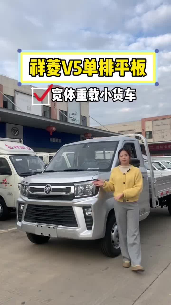 祥菱V5单排平板 宽体重载小货车 双联屏 冷暖一体空调 祥菱V5 祥菱V5单排平板 货运新座驾祥菱即赢家 祥菱V5宽体重
