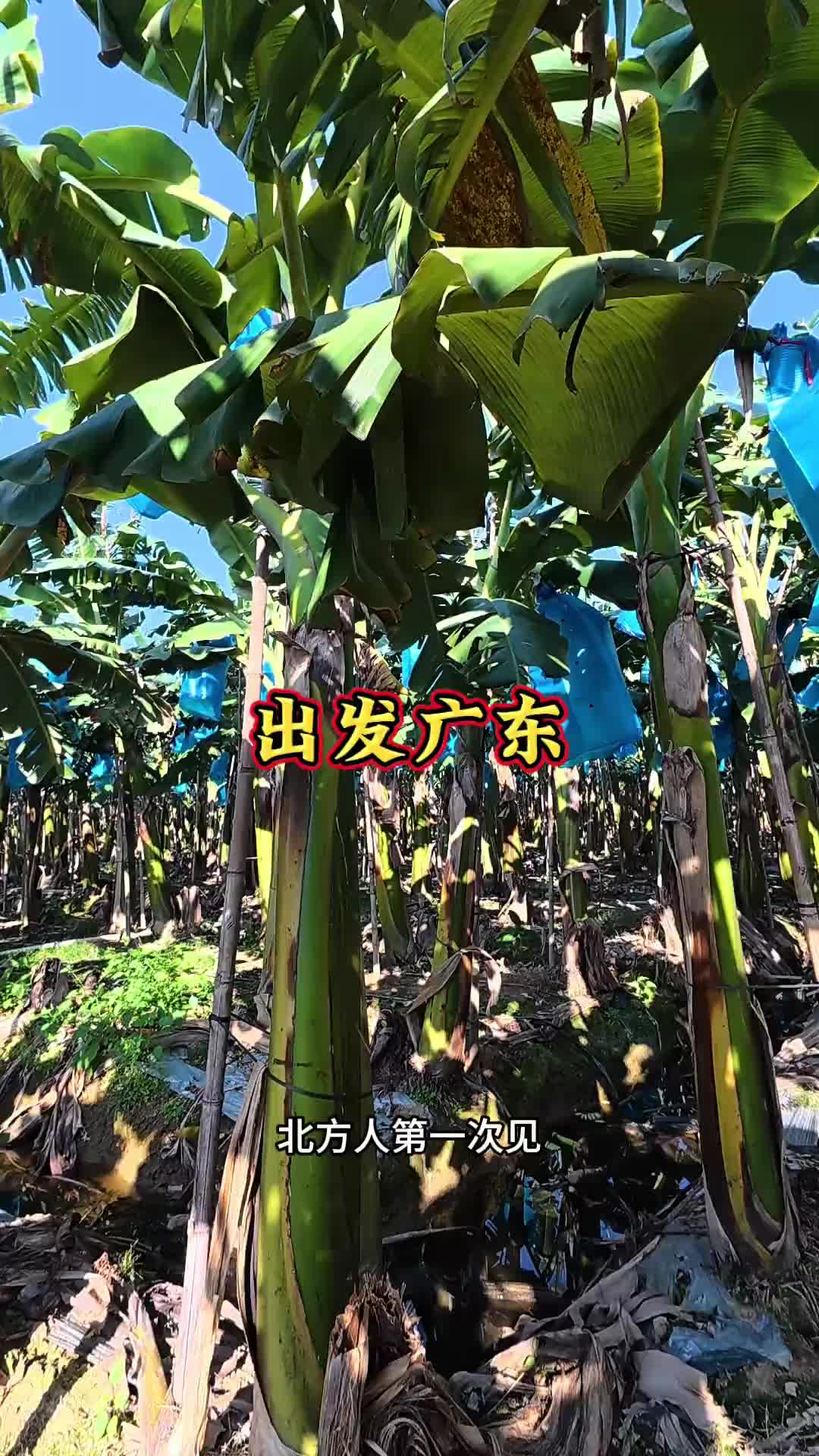 趴了一天终于找到货了，湖南郴州出发广东惠州全程四百公里倒个小短！货车司机 一人一车浪迹天涯 抖音商城