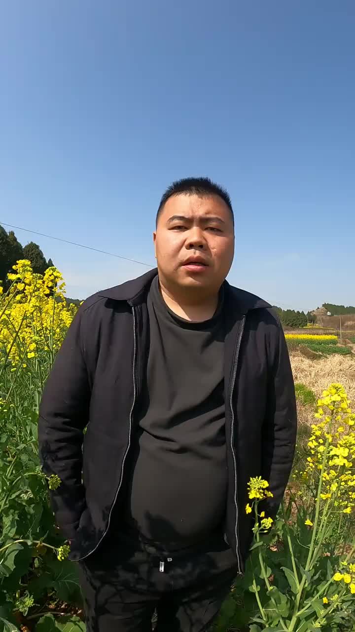 2026年的货运行业会怎么样？ 货运行业 货车司机 货拉拉司机 货拉拉 货运物流