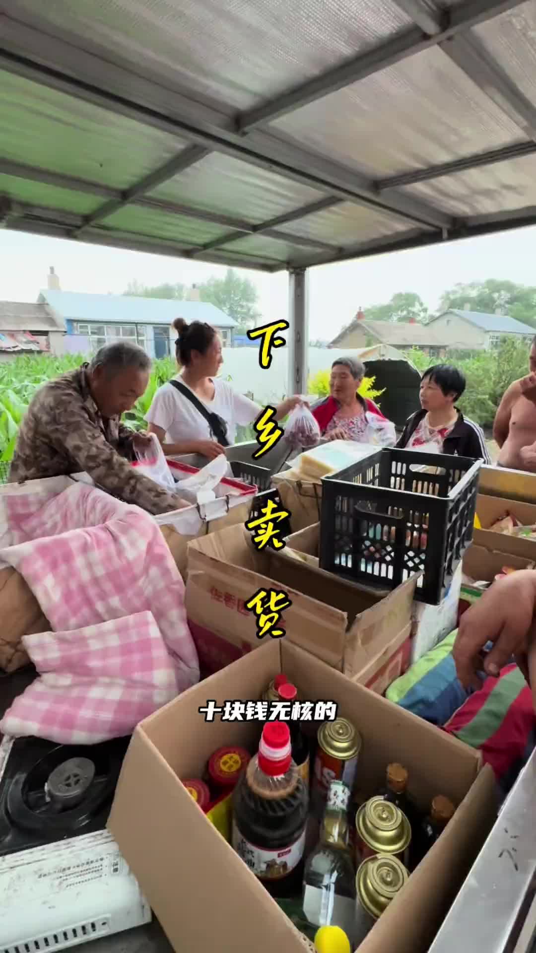 下乡卖货东北农村 乡村生活家记录真实生活