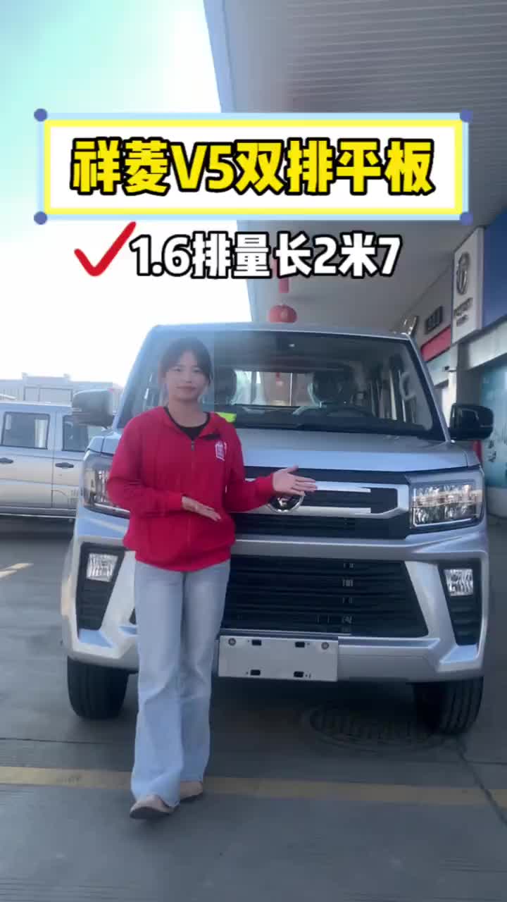 祥菱V5双排后单胎长2米7高1米7 平板车1.6排量 祥菱V5 货运新座驾祥菱即赢家 祥菱V5宽体重载小货车 赣州平板车