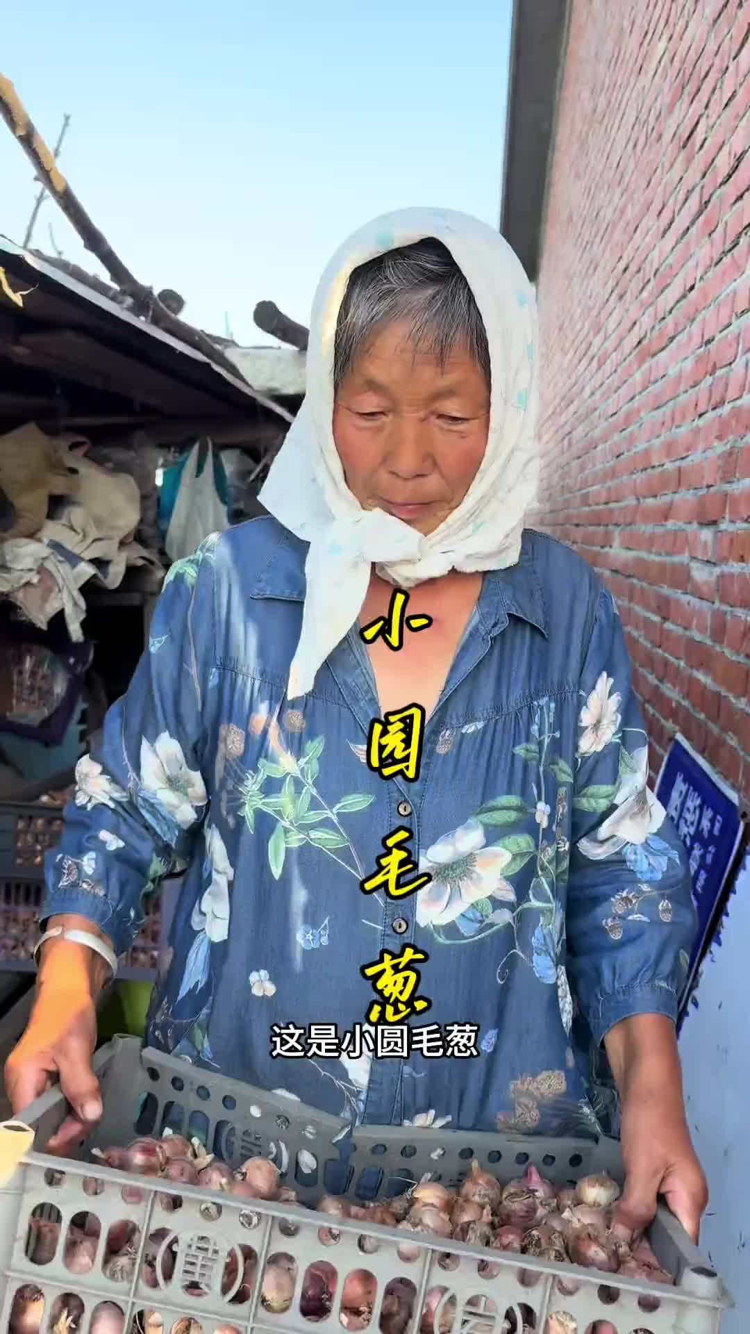 乡村生活家新农人2024优质农产品小园菜