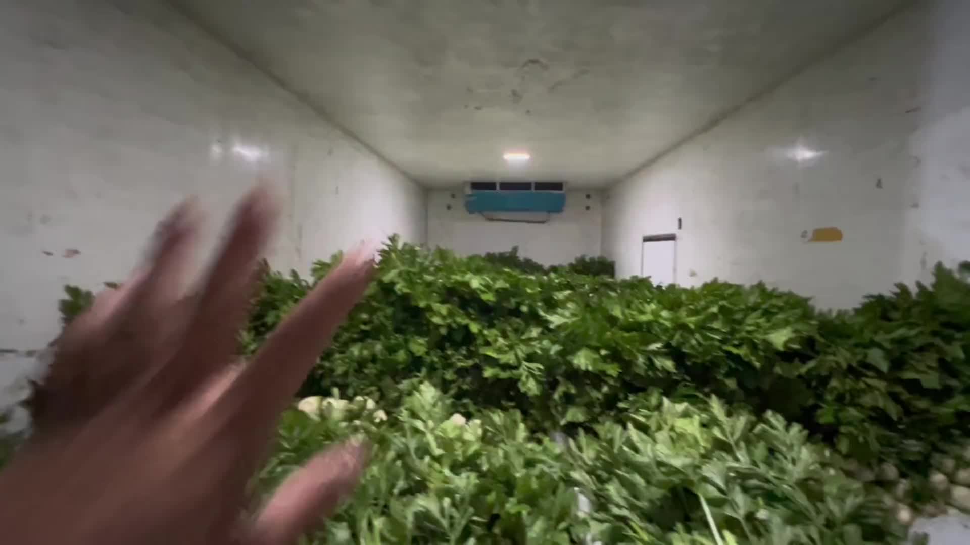 运费高要求高，双驾我没有！大家觉得我能在规定时间赶到吗？ 卡车司机 卡车司机的生活 冷藏宁哥 记录真实生活