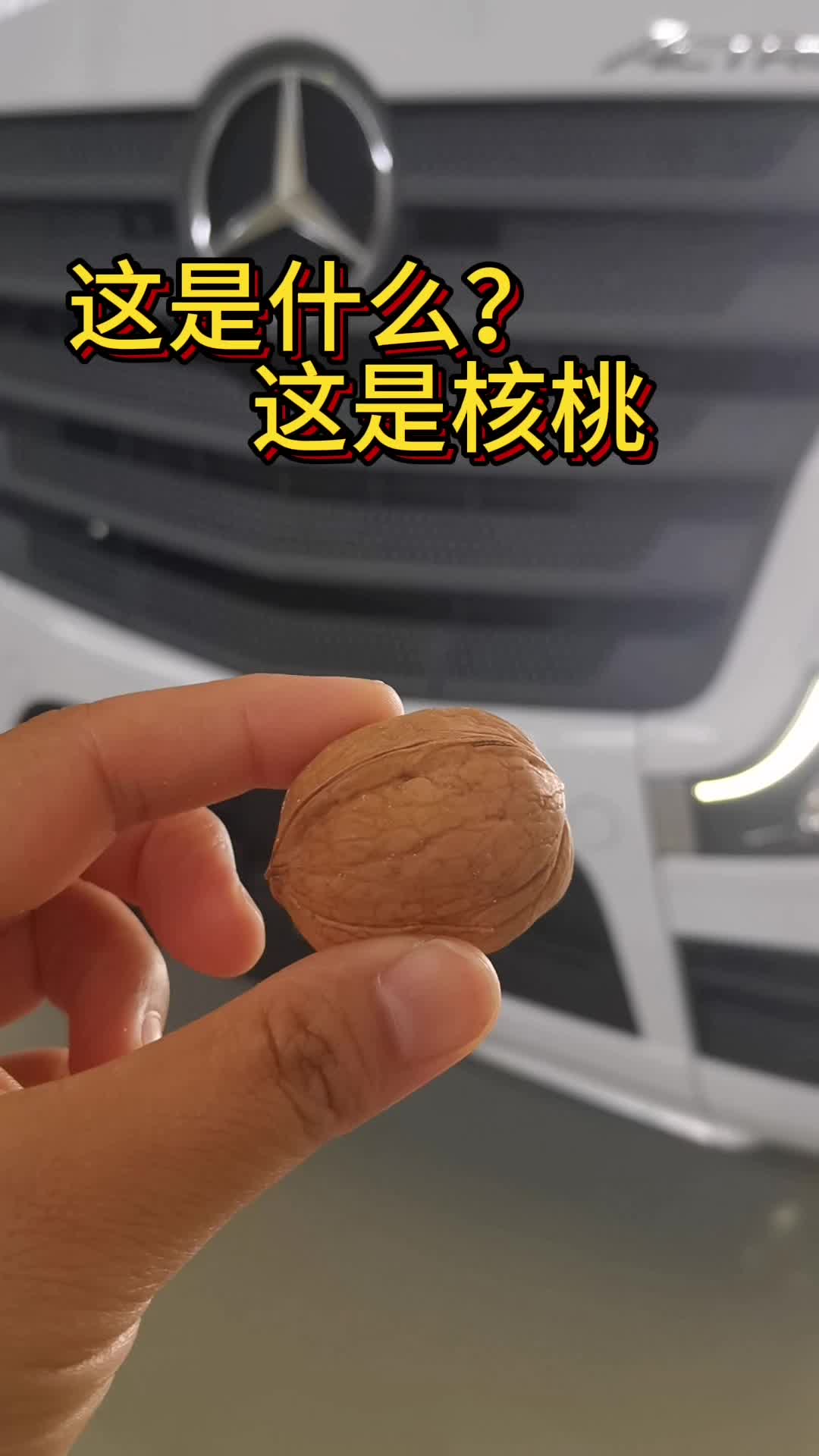 奔驰卡车硬“核”实力