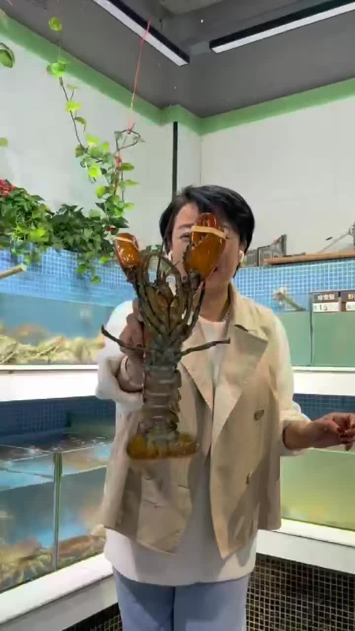 买车赚钱吃龙虾