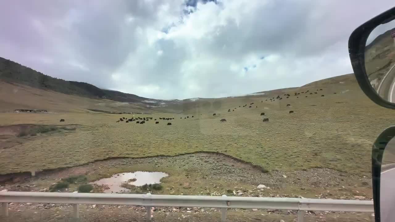 进山进山！货运小涛 全国卡友 国道318 国道215
