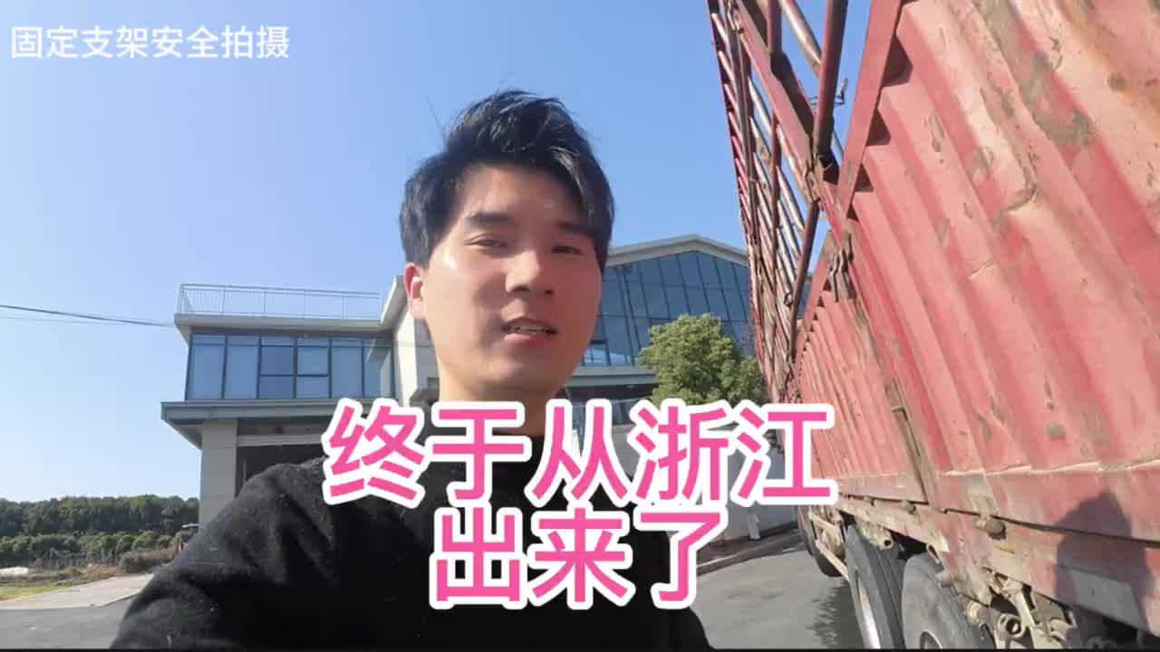 杭州趴窝数日！一车废树枝的电厂卸货vlog货车司机 货车司机的心酸