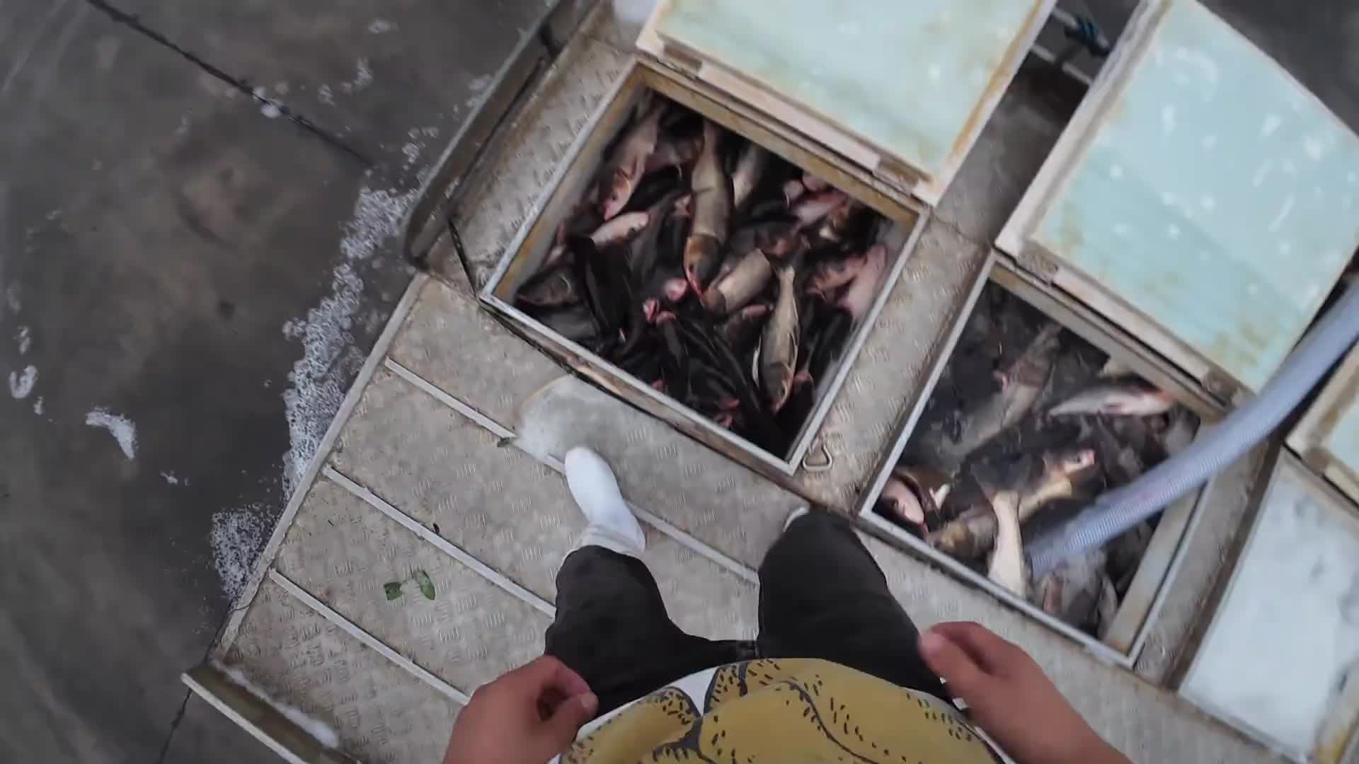 我已经好久没有装过这样的花莲了vlog日常 vlog十亿流量扶持计划 原创视频