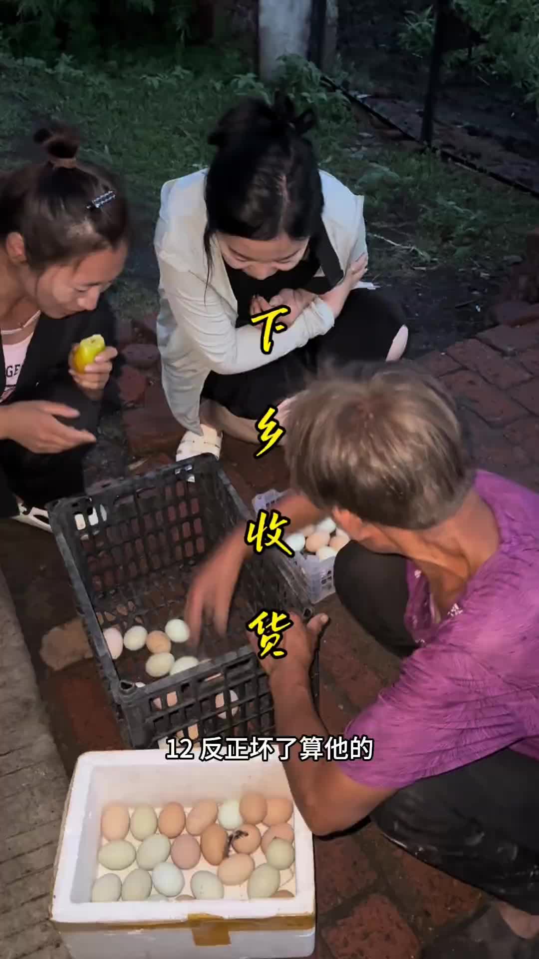 下乡收货 优质农产品东北农村毛葱