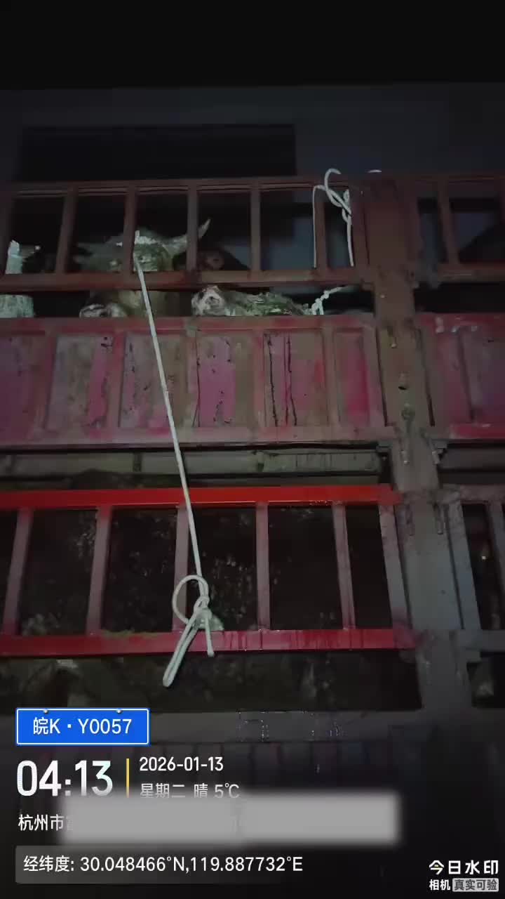 夜里看牛给腰闪了一下，还不如不看，一使劲就疼