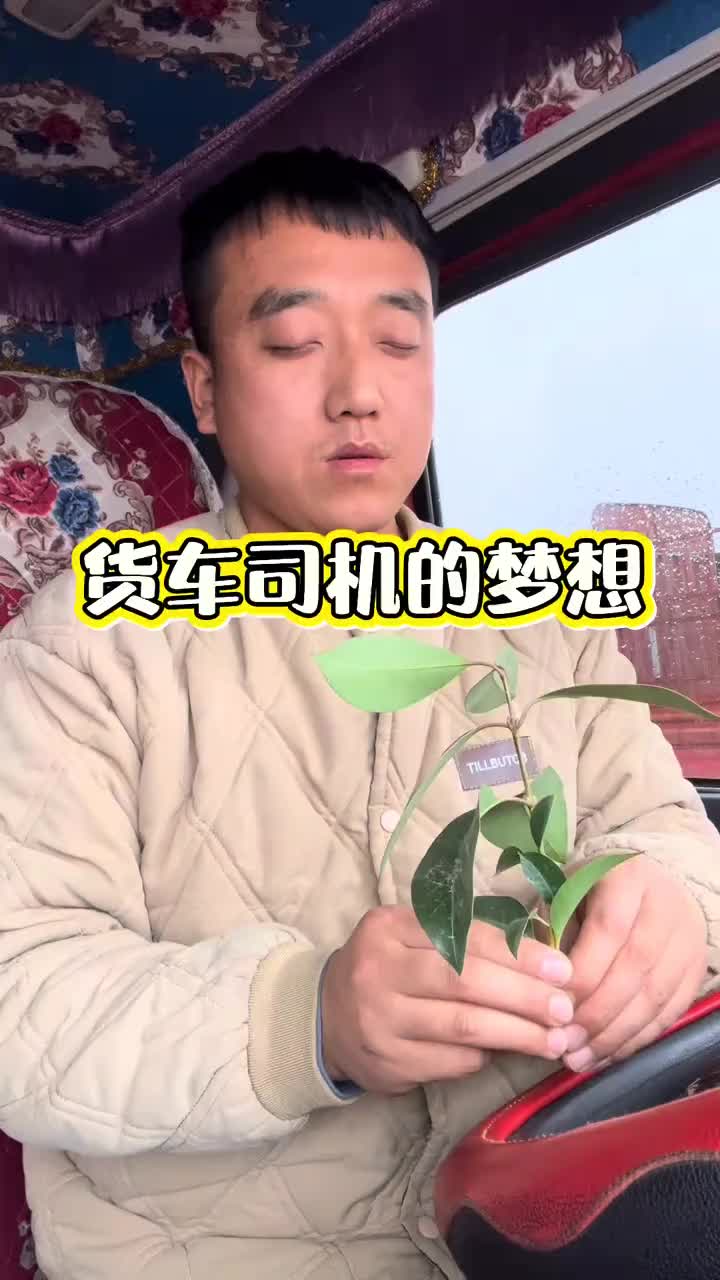 原创视频 抢单必中。货车司机 正能量