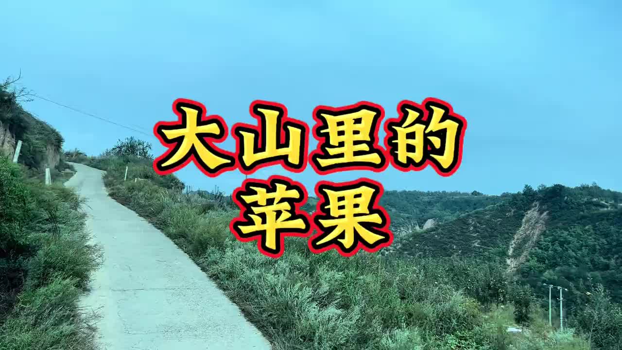 兄弟们，价高必有妖，一点儿没错，拉绿通之前一定要把路看好，安全第一，平安回家原创视频 卡车阿楠