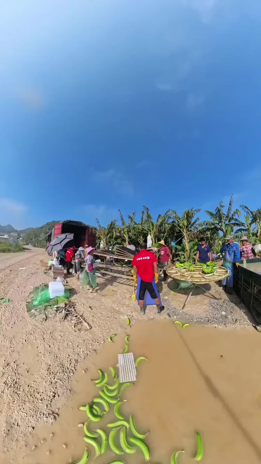 7563477196048993593