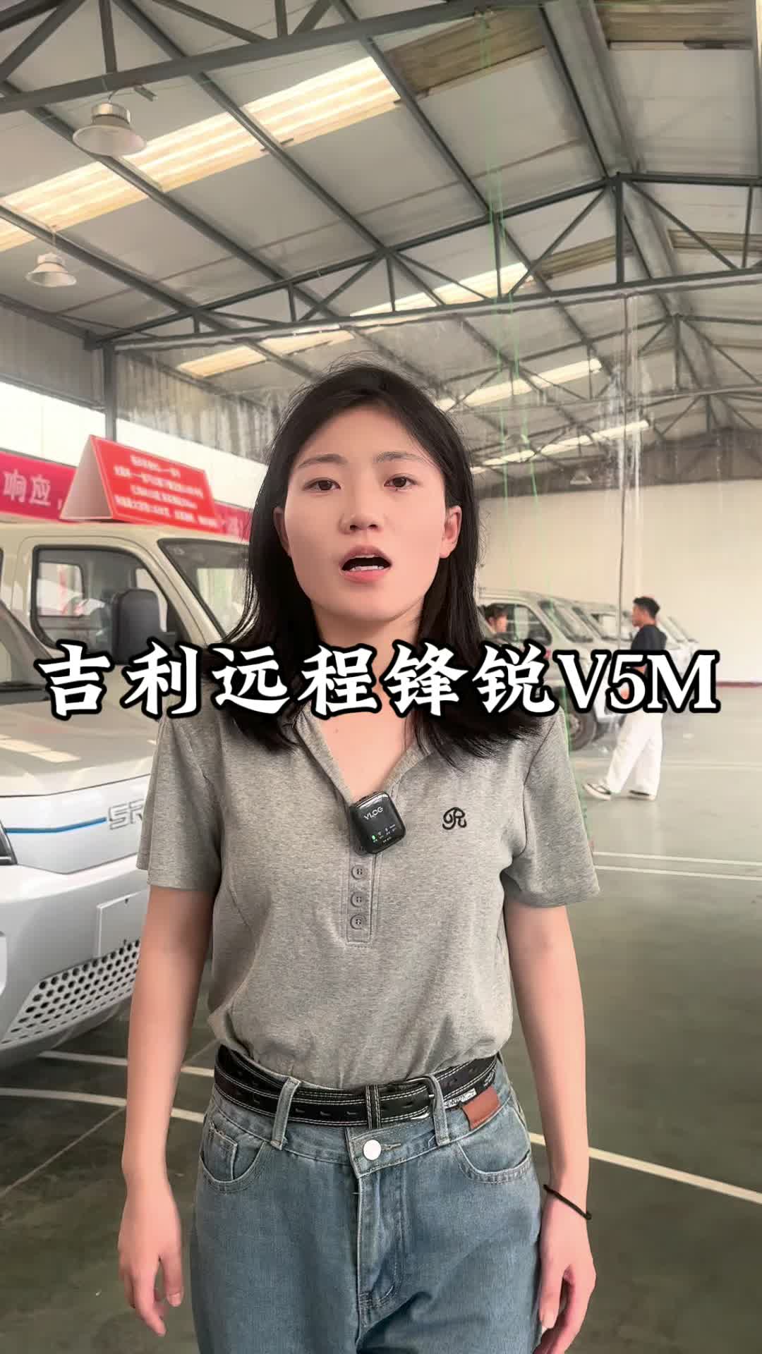 吉利远程锋锐V5M