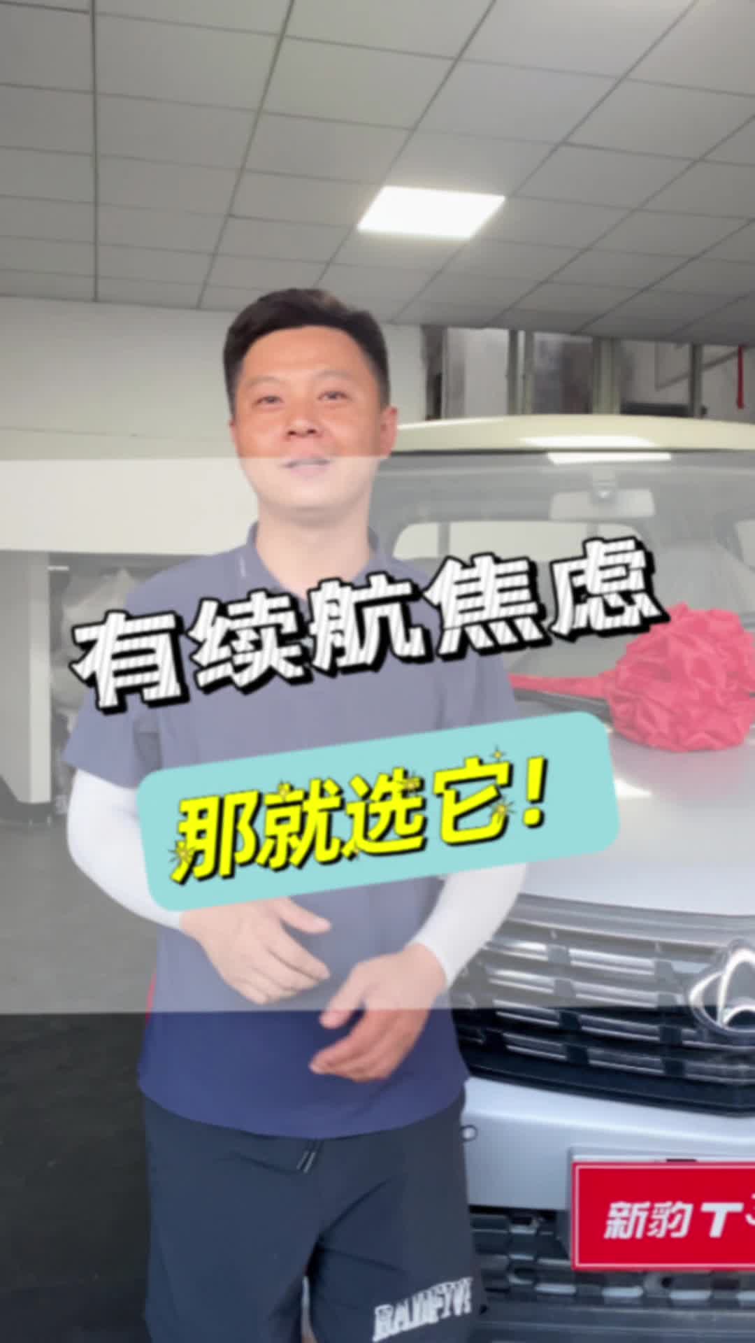 续航低，还有油车
